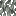 Листья бледного дуба
